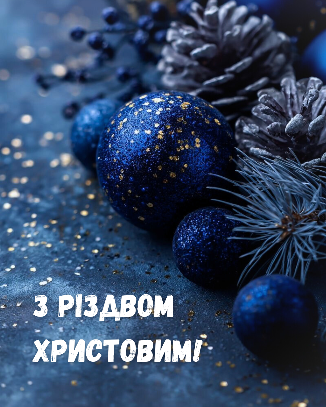 ✨ Вітаємо з Різдвом Христовим! - MAXIMA